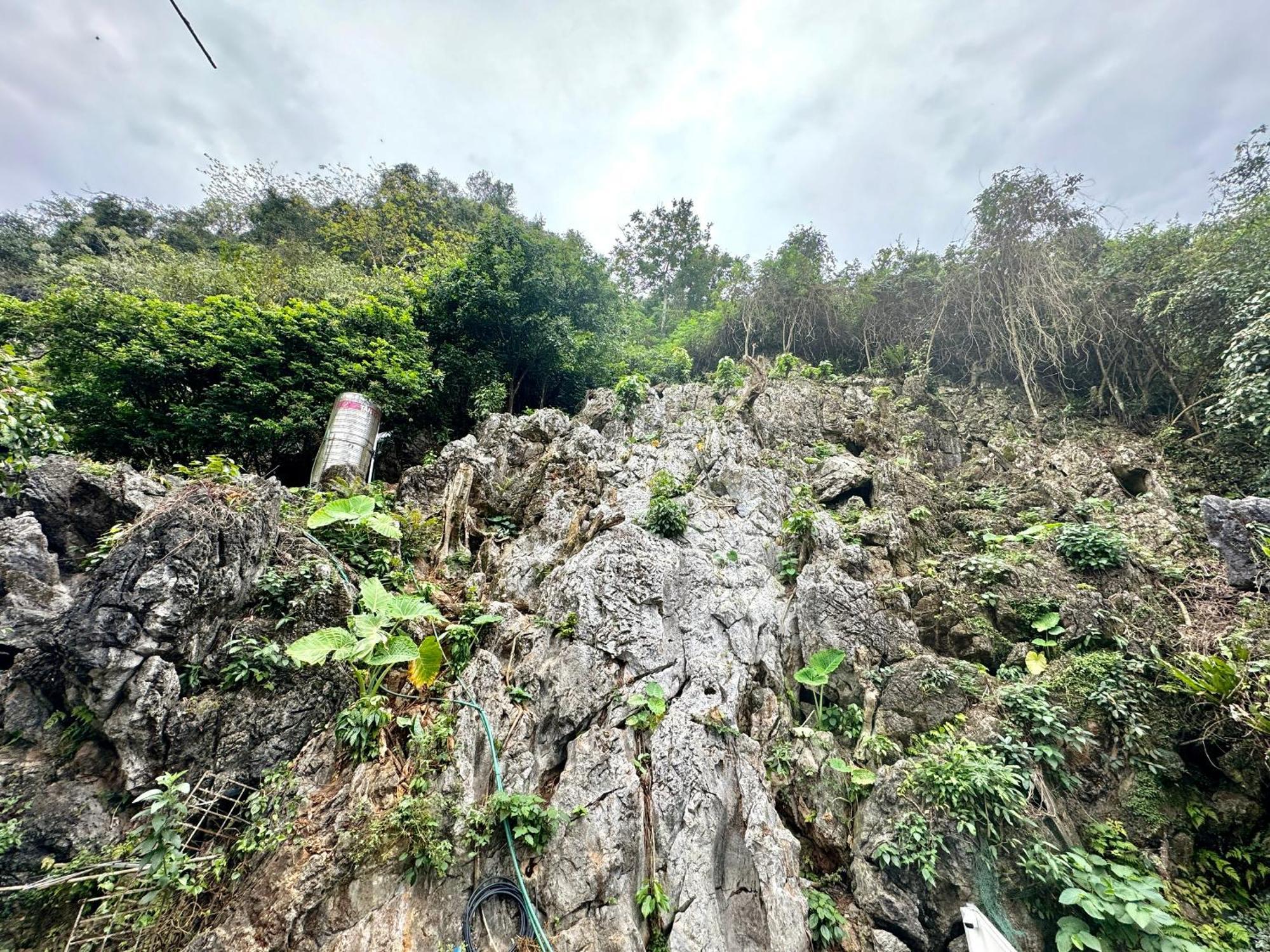 Strawberry House , Tour & Motorbikes Rentel Bed and Breakfast Ha Giang Buitenkant foto